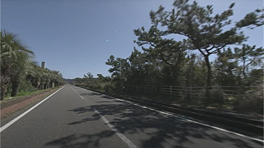 走行/館山海岸フラワーロード（昼）