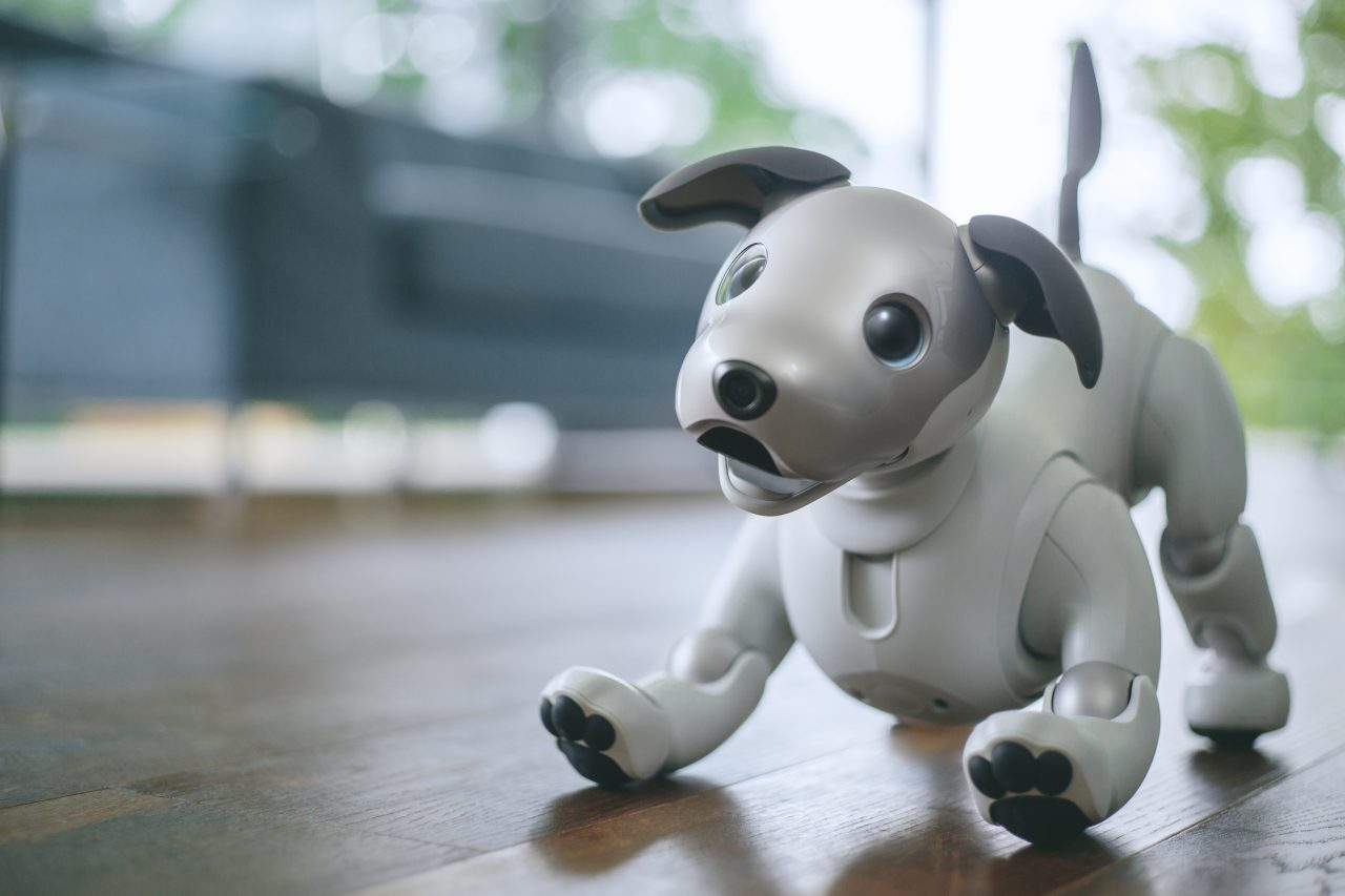 aibo / しぐさやふるまいのデザイン